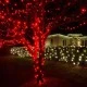 300 LED λαμπάκια σε σειρά ανά 5cm με κόκκινο χρώμα φωτός & επέκταση έως 2 σετ IP44 μήκος 3m με διάφανο καλώδιο 300 LED λαμπάκια σε σειρά ανά 5cm με κόκκινο χρώμα φωτός & επέκταση έως 2 σετ IP44 μήκος 3m με διάφανο καλώδιο