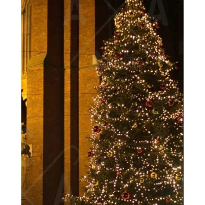 1500 LED λαμπάκια σε σειρά 12W 75m ανά 5cm με θερμό χρώμα φωτός & επέκταση έως 2 σετ IP44 
