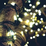 300 LED λαμπάκια σε σειρά ανά 5cm σε ψυχρό λευκό χρώμα & 8 λειτουργίες IP44 μήκος 15m 300 LED λαμπάκια σε σειρά ανά 5cm σε ψυχρό λευκό χρώμα & 8 λειτουργίες IP44 μήκος 15m