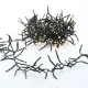 700 LED λαμπάκια σε σειρά ανά 5cm 5,6W με θερμό χρώμα & 8 προγράμματα IP44  με μήκος 11.5m 