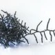 300 LED λαμπάκια σε σειρά 6W με ψυχρό χρώμα φωτός & 8 προγράμματα IP44 μήκος 5m με πράσινο καλώδιο
