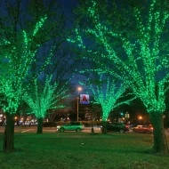 100 LED λαμπάκια σε σειρά ανά 5cm με πράσινο χρώμα φωτός με δυνατότητα επέκτασης έως 6 σετ  IP44 μήκος 3m