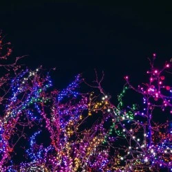 100 LED λαμπάκια σε σειρά ανά 5cm 0,78W πολύχρωμα IP44  με μήκος 3m & πράσινο καλώδιο