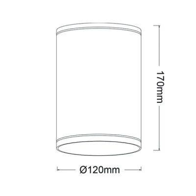 Φωτιστικό οροφής κυλινδρικό Ε27 PAR30 MAX35W 230V AC σε σκούρο γκρι χρώμα κατάλληλο για εξωτερικό χώρο IP65