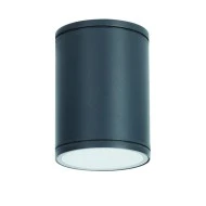 Φωτιστικό οροφής κυλινδρικό Ε27 PAR30 MAX35W 230V AC σε σκούρο γκρι χρώμα κατάλληλο για εξωτερικό χώρο IP65
