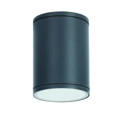 Φωτιστικό οροφής κυλινδρικό Ε27 PAR30 MAX35W 230V AC σε σκούρο γκρι χρώμα κατάλληλο για εξωτερικό χώρο IP65