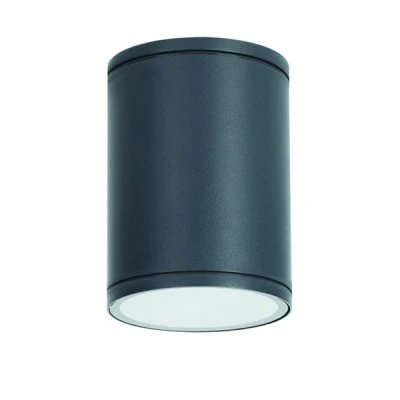 Φωτιστικό οροφής κυλινδρικό Ε27 PAR30 MAX35W 230V AC σε σκούρο γκρι χρώμα κατάλληλο για εξωτερικό χώρο IP65