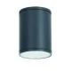 Φωτιστικό οροφής κυλινδρικό Ε27 PAR30 MAX35W 230V AC σε σκούρο γκρι χρώμα κατάλληλο για εξωτερικό χώρο IP65