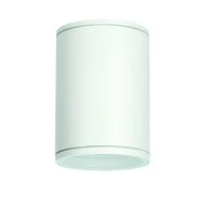 Φωτιστικό οροφής κυλινδρικό Ε27 PAR30 MAX35W 230V AC σε λεύκο-matt χρώμα κατάλληλο για εξωτερικό χώρο IP65
