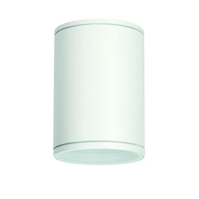 Φωτιστικό οροφής κυλινδρικό Ε27 PAR30 MAX35W 230V AC σε λεύκο-matt χρώμα κατάλληλο για εξωτερικό χώρο IP65 Φωτιστικό οροφής κυλινδρικό Ε27 PAR30 MAX35W 230V AC σε λεύκο-matt χρώμα κατάλληλο για εξωτερικό χώρο IP65
