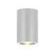 Φωτιστικό σποτ οροφής κυλινδρικό GU10 MAX 7W 230V AC σε λευκό χρώμα κατάλληλο για εξωτερικό χώρο IP65 Φωτιστικό σποτ οροφής κυλινδρικό GU10 MAX 7W 230V AC σε λευκό χρώμα κατάλληλο για εξωτερικό χώρο IP65