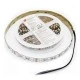 Ταινία led λευκή αυτοκόλλητη 5m 24VDC 18W/m 84LED/m 5050 RGB (εναλλαγής χρωμάτων) IP54 στεγανή