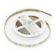 LED ταινία λευκή αυτοκόλλητη 5m 24VDC 24W/m με θερμό λευκό φως 3000K 252LED/m 2835 IP54 LED ταινία λευκή αυτοκόλλητη 5m 24VDC 24W/m με θερμό λευκό φως 3000K 252LED/m 2835 IP54