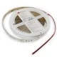 Ταινία led αυτοκόλλητη 5m 24VDC 14.4W/m με ψυχρό λευκό φως 6500K 2835 140LED/m στεγανή IP54 Ταινία led αυτοκόλλητη 5m 24VDC 14.4W/m με ψυχρό λευκό φως 6500K 2835 140LED/m στεγανή IP54