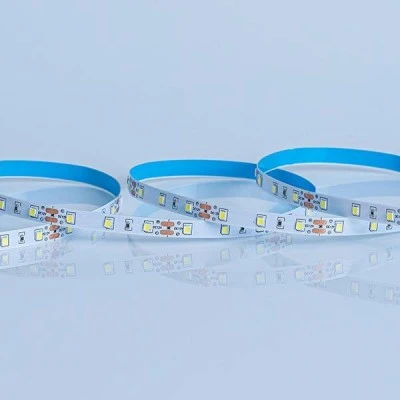 Ταινία LED PLUS 5m 4,8W 12V με ψυχρό χρώμα φωτός 2700k κατάλληλη για εσωτερικό χώρο IP20 με 120LED/m  