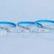 Ταινία LED PLUS 5m 4,8W 12V με ψυχρό χρώμα φωτός 2700k κατάλληλη για εσωτερικό χώρο IP20 με 120LED/m  