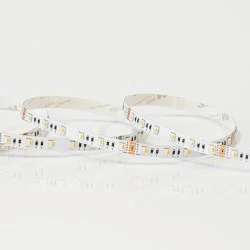 Ταινία LED PRO 5m 10W 24V με δυνατότητα εναλλαγής χρωμάτων RGBCCT IP20 μη στεγανή κατάλληλη για εσωτερικό χώρο 