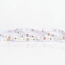 Ταινία  LED PRO 5m 10W 24V με θερμό χρώμα φωτός 2700k 1000lm IP20 κατάλληλη για εσωτερικό χώρο