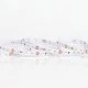Ταινία  LED PRO 5m 10W 24V με θερμό χρώμα φωτός 2700k 1000lm IP20 κατάλληλη για εσωτερικό χώρο