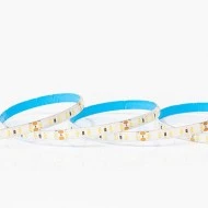 Ταινία LED PRO 5m 12W 12V με ενδιάμεσο χρώμα φωτός 6500k 1200lm με 120LED/m στεγανή IP54 