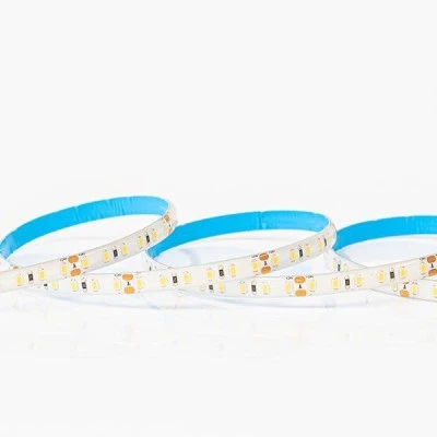 Ταινία LED PRO 5m 12W 12V με ενδιάμεσο χρώμα φωτός 6500k 1200lm με 120LED/m στεγανή IP54 