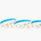 Ταινία LED PRO 5m 12W 12V με ενδιάμεσο χρώμα φωτός 6500k 1200lm με 120LED/m στεγανή IP54 
