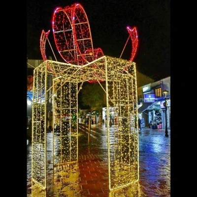 Δώρο 3D με θερμή λευκή - κόκκινη led φωτοσωλήνα και θερμά - κόκκινα led 450x300cm IP65