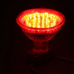 Λάμπα led MR16 GU5.3 230V 2W 180lm ντιμαριζόμενη δέσμης 30° κόκκινο φως με κάλυμμα