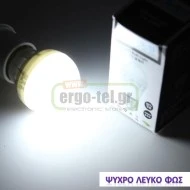 Λάμπα led G45 σφαιρική Ø45mm E27 6W 230V 6200k ψυχρό λευκό φως 540lm με ματ κάλυμμα Economy