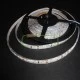 Led ταινία αδιάβροχη 5m 4.8W 12VDC ψυχρό λευκό φως εύκαμπτη & αυτοκόλλητη Led ταινία αδιάβροχη 5m 4.8W 12VDC ψυχρό λευκό φως εύκαμπτη & αυτοκόλλητη