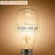 Λάμπα led filament αβοκάντο Ε27 6W 230V ντιμαριζόμενη 2700k θερμό λευκό φως 590 lumen 30000h