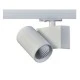 Σποτ ράγας LED LISOR 20W 230V AC ενδιάμεσο φως 4000k 2100lm 2 καλωδίων δέσμης 38° 30000h