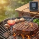 Θερμόμετρο κρέατος Bluetooth Nedis SmartLife 233-2901 με 2 αισθητήρες, έλεγχο μέσω εφαρμογής, οθόνη LCD και ειδοποιήσεις
