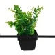 Μοντέρνο Κρεμαστό Φωτιστικό FLOWERPOT Μονόφωτο 1 x E27 Μαύρο Μεταλλικό με Διακοσμητικό Φυτό Φ30 x Y30cm GloboStar® FLOWERPOT 10001211 Μοντέρνο Κρεμαστό Φωτιστικό Οροφής Μονόφωτο 1 x E27 Μαύρο Μεταλλικό με Διακοσμητικό Φυτό Φ30 x Y30cm