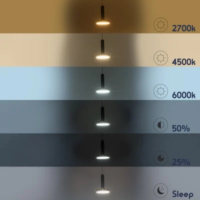 Κρεμαστό Φωτιστικό ZANE LED 18W 2016lm CCT Dimmable – Μαύρο & Χρυσό, Τηλεχειριστήριο, 2700K-4500K-6000K