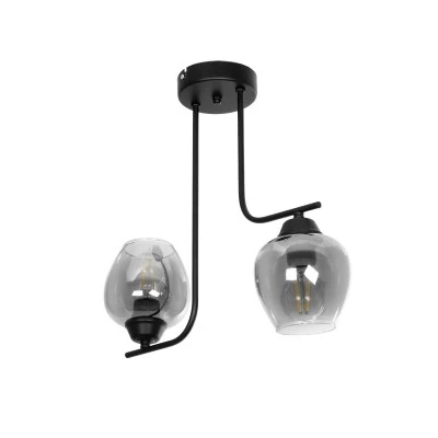 Vintage δίφωτο φωτιστικό οροφής GLOSSA με ντουί 2xE27 AC 220-240V IP20 μαύρο & μαύρο φιμέ 40x15x17cm
