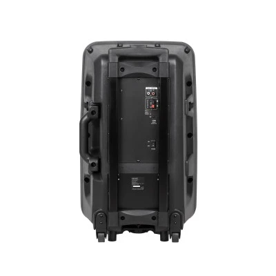 Ενεργό ηχείο 12" 40W με 2 ασύρματα μικρόφωνα κάρτα μνήμης SD  Bluetooth & θύρα για USB AZUSA