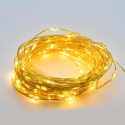 20 LED λαμπάκια 2m με χρονοδιακόπτη 6 On/18 Off με θερμό χρώμα φωτός & χρυσό καλώδιο χαλκού IP44 
